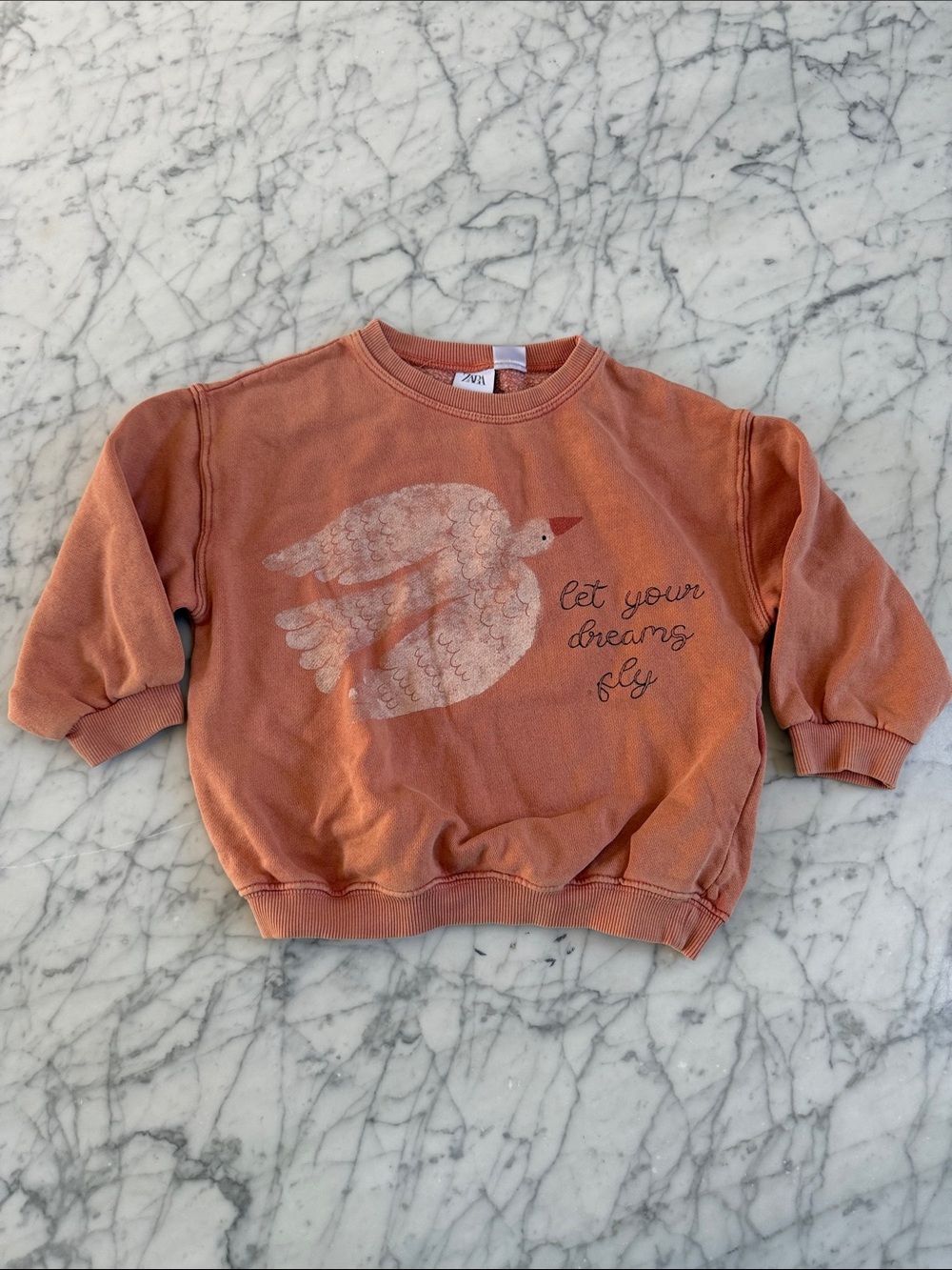 Zara Sweatshirt with Bird Graphic Sz 3/4Y Let Your Dreams Fly
